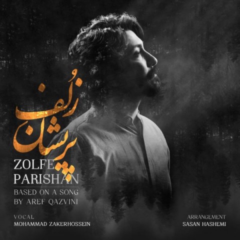 دانلود آهنگ محمد ذاکرحسین زلف پریشان با کیفیت 320